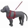 Kennel Premium Nylon Body (1 1/4")
