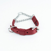 Kennel Soft Nylon Chain Martingale Collar