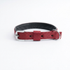 Kennel Foam Padded Nylon Collar