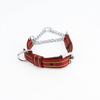 Kennel Pattern Nylon Chain Martingale Collar