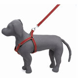Kennel Padded Nylon Dotzy Adjustable Harness  (W = 1 Inch)