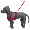 Kennel Padded Nylon Body (1 1/4")