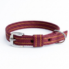 Kennel Nylon Pattern Collar