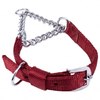 Kennel Premium Nylon Chain Martingale Collar