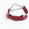 Kennel Soft Nylon Chain Martingale Collar