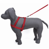 Kennel Nylon Body (1")