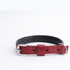 Kennel Foam Padded Nylon Collar
