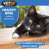 Vetiq Healthy Bites Denti-Care For Cats & Kitten