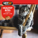 Vetiq Healthy Bites Urinary Care For Cats