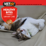 Vetiq Healthy Bites Urinary Care For Cats