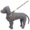 Kennel Multi Face Bright Printed Padded Click Lock Adjustable Harness
