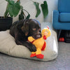 Kong Knots Chicken Plush Dog Toy