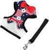 Pets Empire Fancy Harness Set