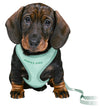 Trixie Junior Puppy Soft Harness With Lead
