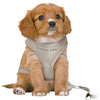 Trixie Junior Puppy Soft Harness With Lead