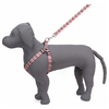 Kennel Printed Click Lock Adjustable Harness