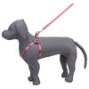 Kennel Printed Click Lock Adjustable Harness
