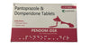 Canicon: Pendom-DSR - Pantoprazole & Domperidone Tablets