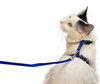Smarty Pet Reflective Nylon Cat Leash and Harness Combination Set - 10 mm