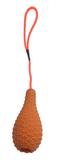 Petaholic Throw N Fetch Dog Toy