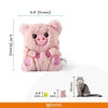 Fofos Floppy Crinkle Pig Catnip Cat Toy