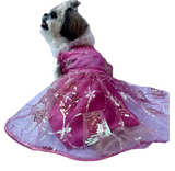 Cheeku Lehenga For Dogs & Cats