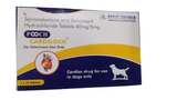 Panav Bio-Tech Pooch Cardilock (40mg/5 mg)