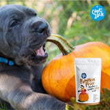 Capt. Zack : Pumpkin Prize Chicken & Pumpkin Jerky Dog Treats