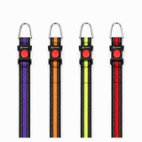 Kennel Reflective Collar