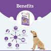 Veko Radicate Spot-On Solution for Dogs (20–40 kg)