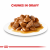 Royal Canin Hairball Control Gravy Salsa Sas Cat Pouch