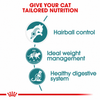 Royal Canin Hairball Control Gravy Salsa Sas Cat Pouch