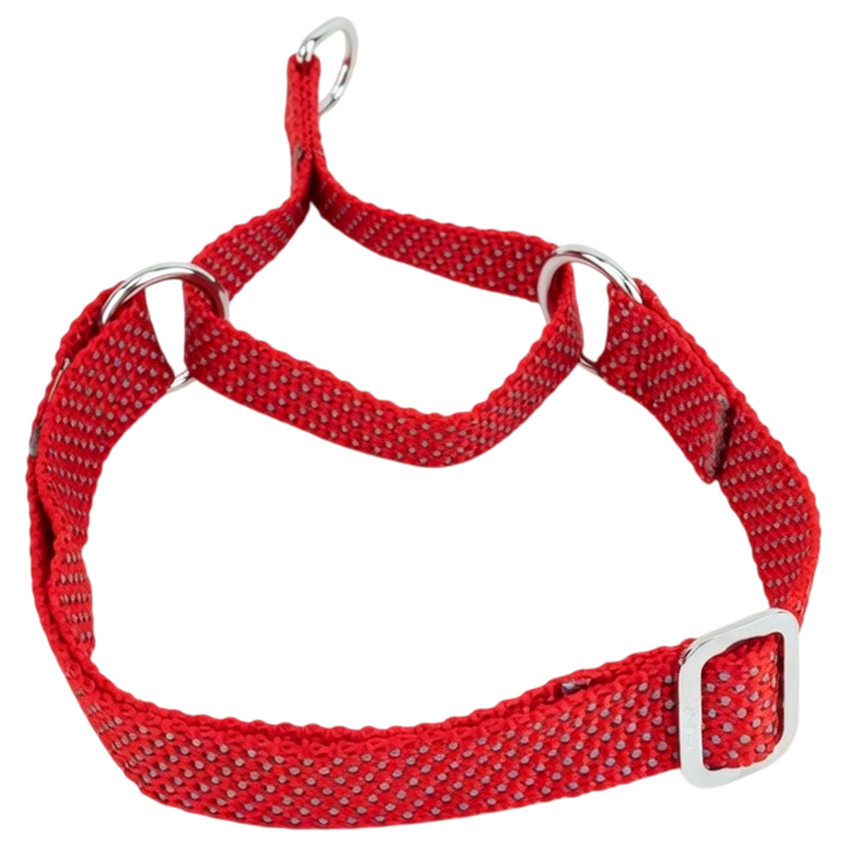 Kennel Premium All Over Reflective Nylon Martingale Collar