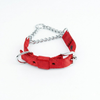 Kennel Soft Nylon Chain Martingale Collar