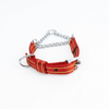 Kennel Pattern Nylon Chain Martingale Collar