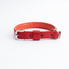 Kennel Foam Padded Nylon Collar