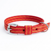 Kennel Nylon Pattern Collar