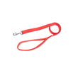 Kennel Foam Padded Soft Nylon Leash (3/4") (48")