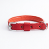 Kennel Foam Padded Nylon Collar