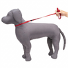 Kennel Nylon Show Leash
