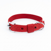 Kennel Nylon Half Collar