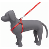 Kennel Printed Click Lock Adjustable Harness