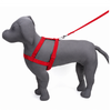 Kennel Nylon Body (1")