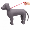Kennel Nylon Show Leash Cord With Round Clamp (Thin)