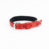 Kennel Padded Nylon Collar