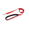 Padded Nylon Dog Leash with Foam Grip | Kennel