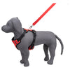 Kennel Full Body Harness (Large - 30")