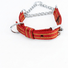 Kennel Pattern Nylon Chain Martingale Collar