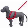 Kennel Padded Nylon Body (1 1/4")