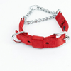 Kennel Soft Nylon Chain Martingale Collar